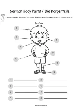 The BEST German Body Parts Worksheets For Kids