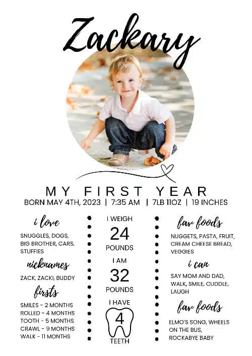 1st birthday milestone poster.