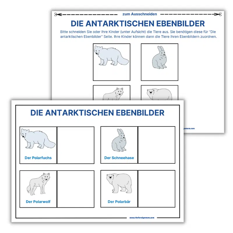 Artic animal match.