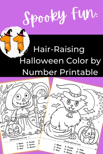 Pinterest Pin - Color By numbers.
